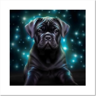 Cane Corso Puppy Posters and Art